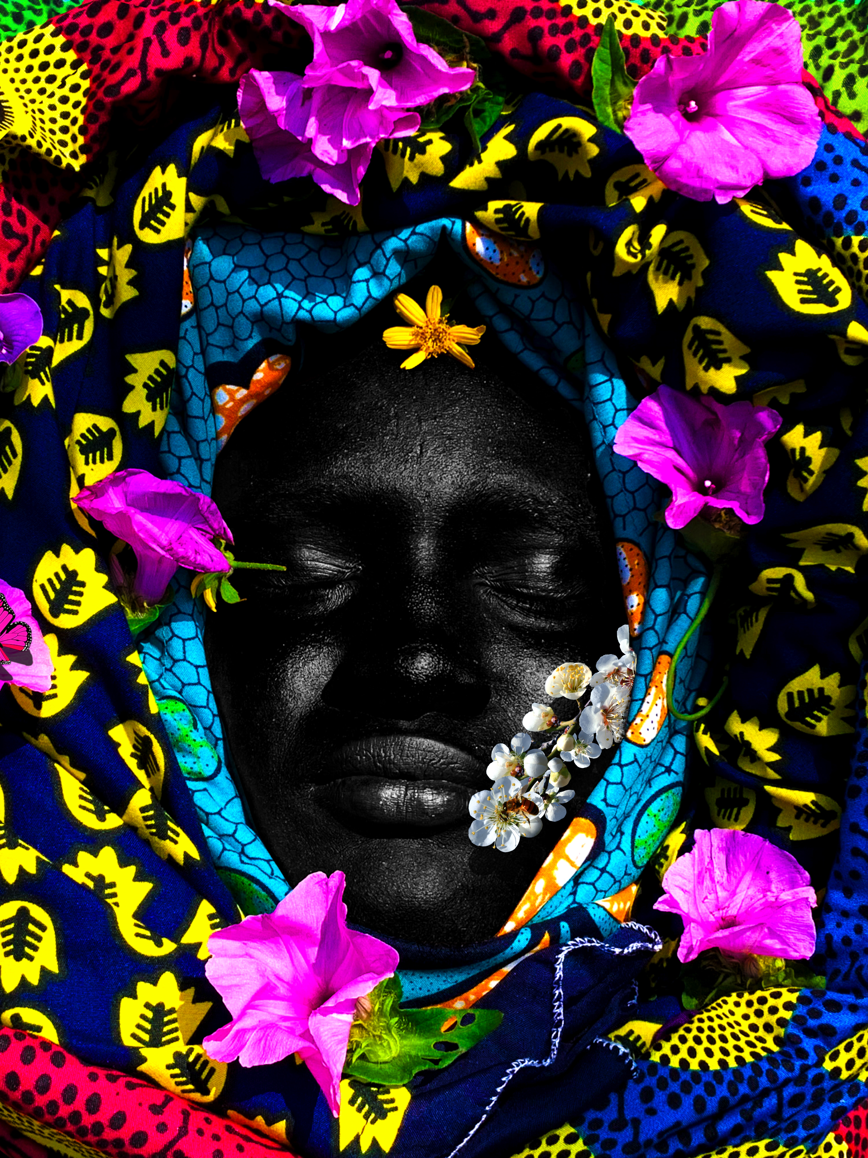 Bloom — Thousand Faces of Bloom